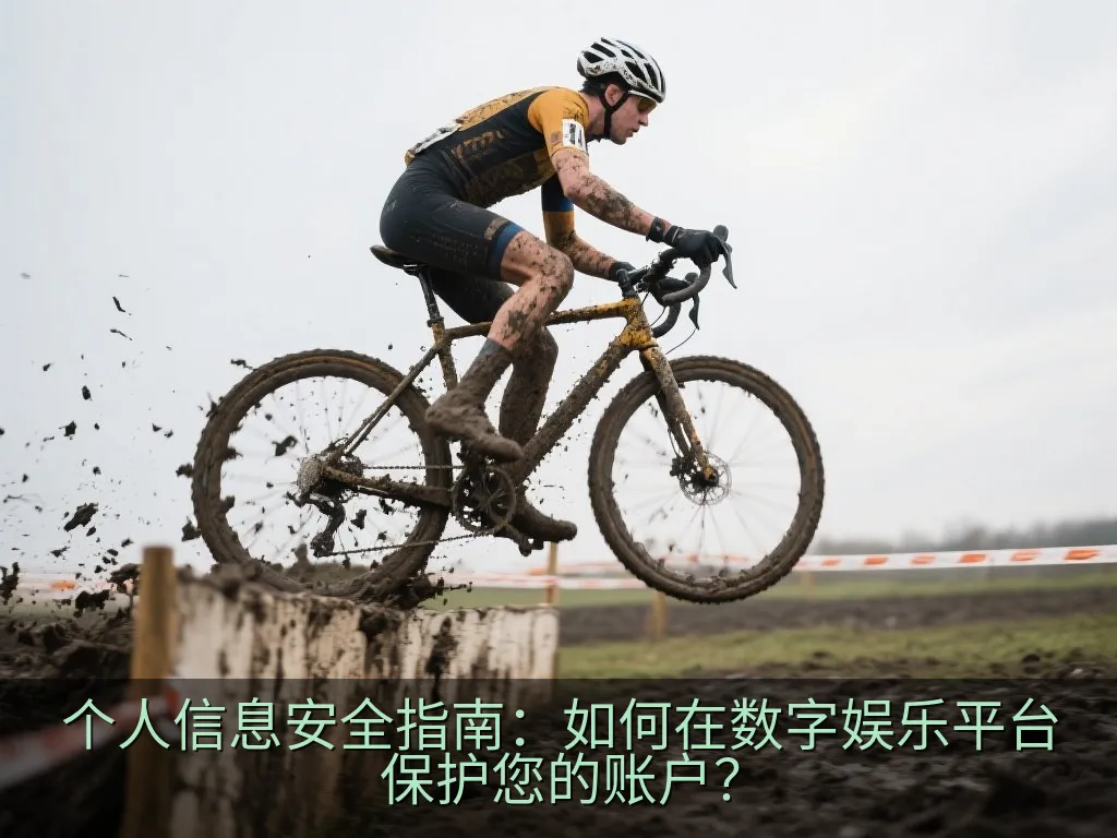个人信息安全指南：如何在数字娱乐平台保护您的账户？