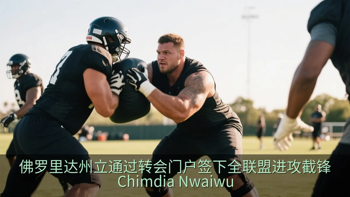 佛罗里达州立通过转会门户签下全联盟进攻截锋Chimdia Nwaiwu